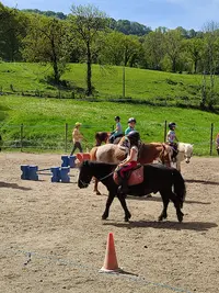 Scea Ferme Equestre Cheval Decouverte