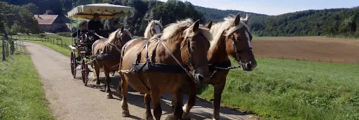 Les Ecuries de la Chaux Denis