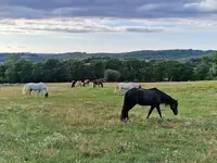 Centre Equestre du Cranou