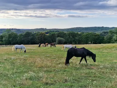 Centre Equestre du Cranou