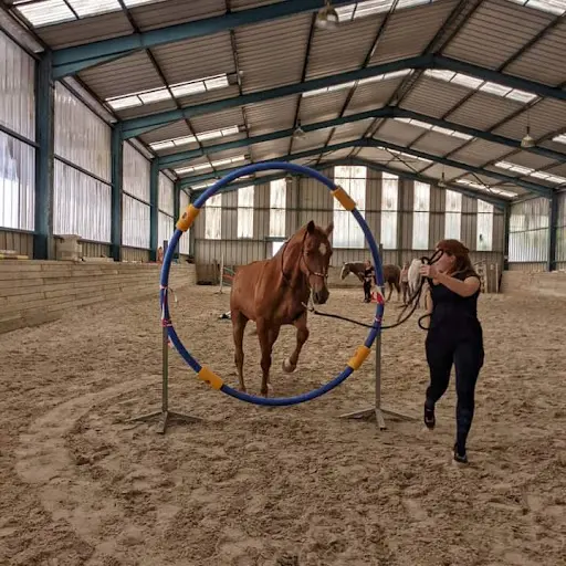 Equi Harmonie