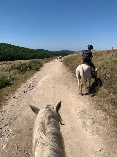 Les Crinières Transhumantes | Balade À Cheval Mont Lozère