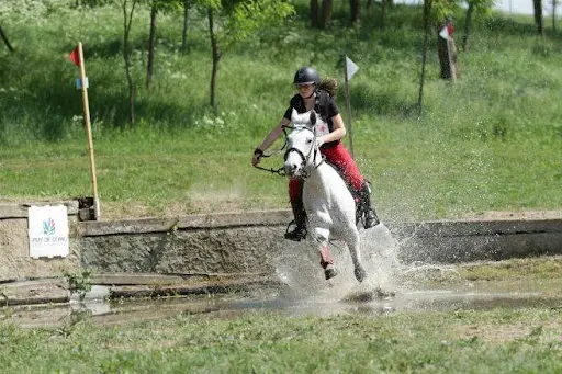 Pont-du-château Equestre