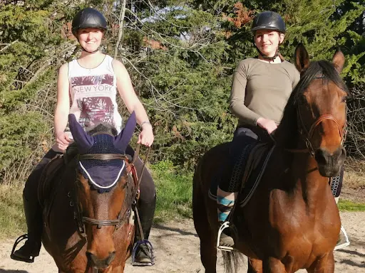 Hng Stables