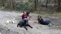 l'Empreinte Canine