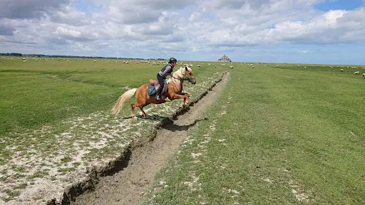 Cheval Plaisir Mont Saint Michel