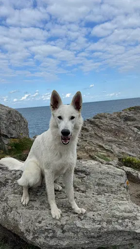 La Baie des Blancs