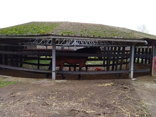 Haras du Loup