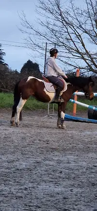 Poney-club du Goëlo