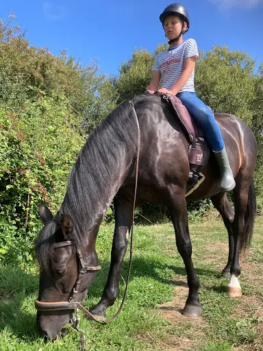 Julia Martinuzzi – Équitation et Cours de Yoga À Pornic