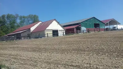 Centre Equestre des Droops