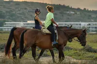 Les Poneys Vermeilles