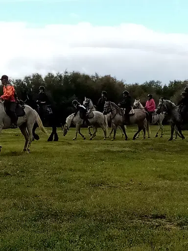 Écurie Saint-louisienne