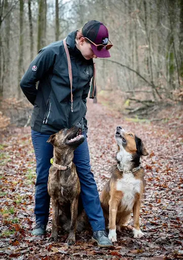 Syn Ophile - Education Canine et Comportement- Port sur Saone - Vesoul