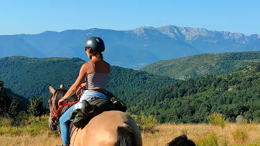 Equi-libre