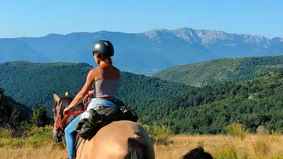 Equi-libre