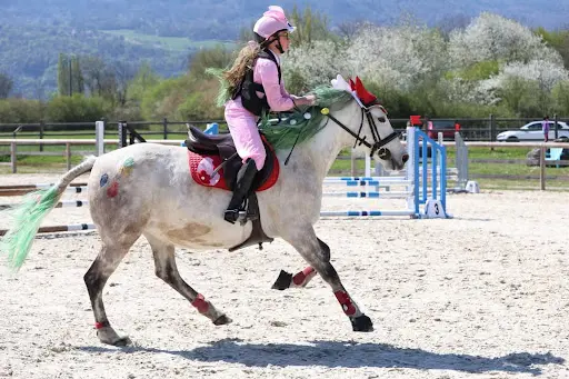 Equisport Savoie les Marches - Pension Stage Compétition