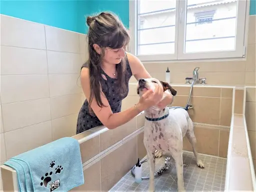50 Nuances de Poils - Toilettage & Lavage Libre-service