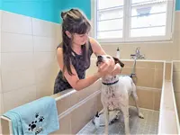 50 Nuances de Poils - Toilettage & Lavage Libre-service