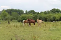 Centre Equestre des Vallees