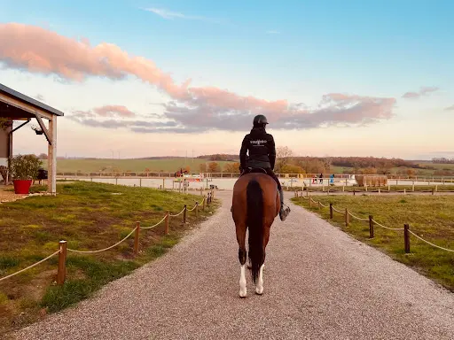 Equineo