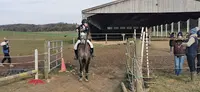 Poney Club Pony Reve
