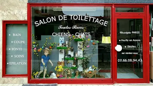 Paris Christophe - Toilettage Canin