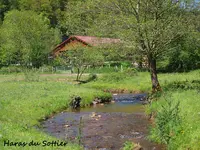 Haras du Sottier