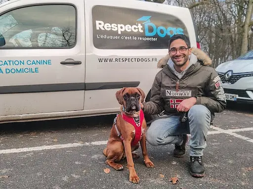Éducateur Canin Respectdogs