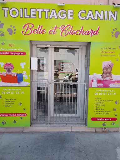 Belle et Clochard Toilettage Chien Saint Cyrien 66