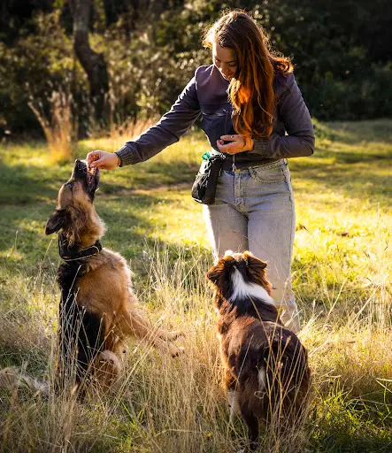 Pup Fiction | Educateur Comportementaliste Canin & Pet Sitter | Lisa Clair