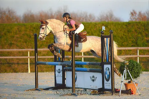 Haras de la Colline