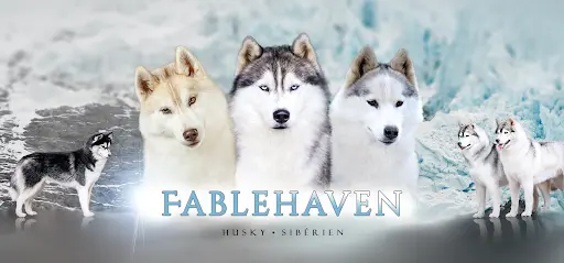 Fablehaven, Élevage de Husky Sibérien