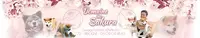 Akita Inu du Domaine des Sakura