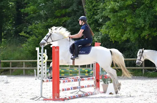 Ecurie d'Holiboo