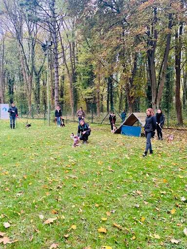 Caning Club Cambrai