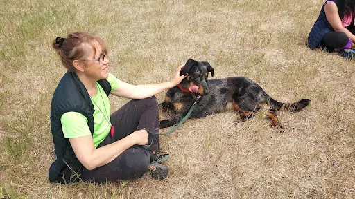 Corsica Dog Educ