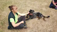 Corsica Dog Educ