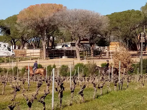 Domaine Equestre du Pellicot