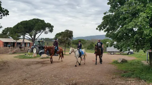 Le Haras des Suvières