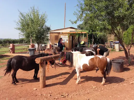 Centre Equestre le Nénuphar