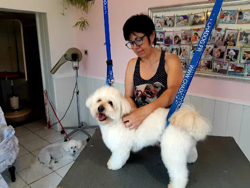 Gueffier Patricia