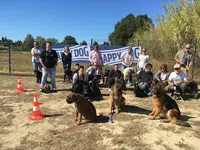 m'Education Canine