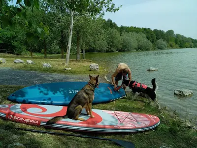 Nature Dog Education | Éducateur Canin Comportementaliste | Mont-de-marsan