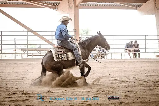 Sunny Ranch 40