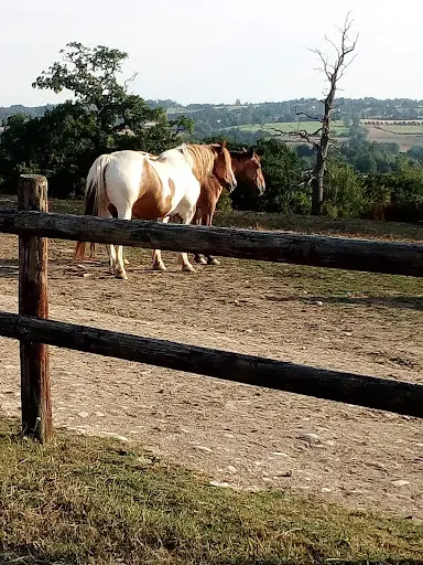 La Rotourelle Famille Greusard