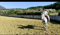 Elevage d'Ogotai