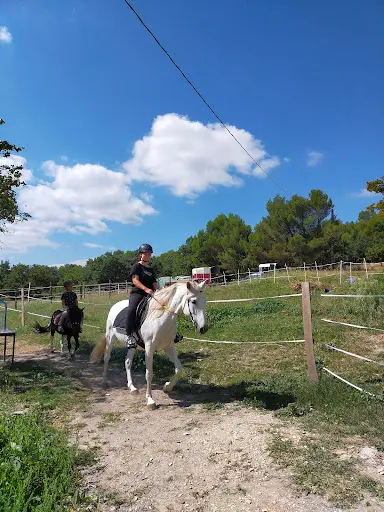 Haras de Saumelongue