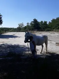 Poney Club de la Salamandre
