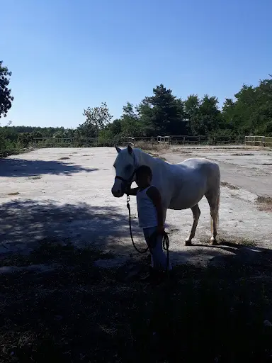 Poney Club de la Salamandre